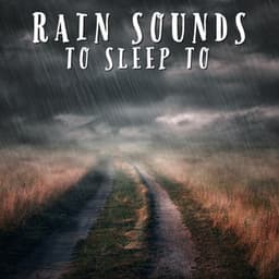 Rain Sounds To Sleep To - Natural Sample Makers