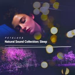 Natural Sound Collection: Sleep - Petalura