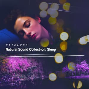 Natural Sound Collection: Sleep - Petalura