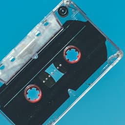 The Unicorns Are Teasing - Hook Shop