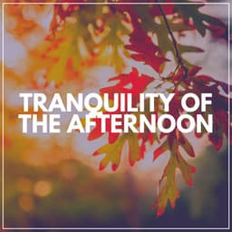 Tranquility of the Afternoon - Relaxation