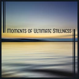 Moments of Ultimate Stillness: Time for Relax, Soul Restoring, Life Contemplation Sounds, Meditation Music - Sanctuary of Silence