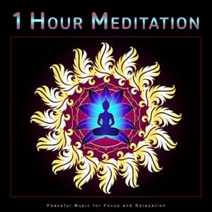 1 Hour Meditation: Peaceful Music for Focus and Relaxation - Meditation Music Solitude