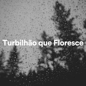 Turbilhão Que Floresce - Chuva Pra Dormir