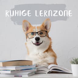 Ruhige Lernzone: Bleiben Sie Ruhig und Konzentrieren Sie Sich mit Beruhigender Musik - Innere Ruhe Akademie