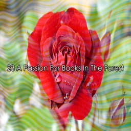 23 A Passion For Books In The Forest - Ambient Forest