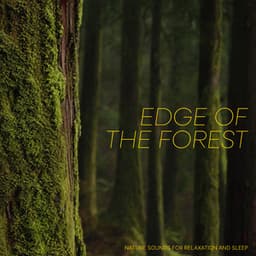 Edge of the Forest - Nature Sounds for Relaxation and Sleep