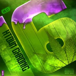 H-Town Chronic 16 - Lil C