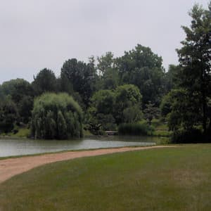 Soothing Array of Brown Noise, Brown Waves, and other Ambiences - White! Noise