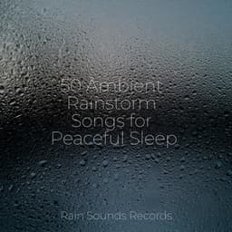 50 Ambient Rainstorm Songs for Peaceful Sleep - Forest Sounds