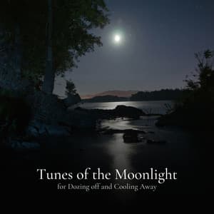 Hymn of the Night for Chasing Dreams and Stars - Music for Going to Sleep