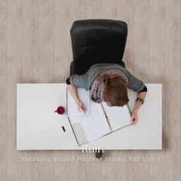 Rain: Relaxing Sound Perfect Study Aid Vol. 1 - Rain Hive