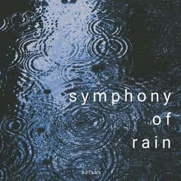 symphony of rain - 33rain