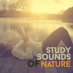 Study Sounds of Nature - Exam Study Nature Music Nature Sounds