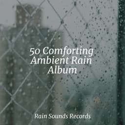 50 Comforting Ambient Rain Album - Meeresrauschen