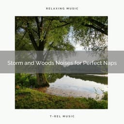 Storm and Woods Noises for Perfect Naps - Calm Rain Sounds