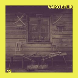 13 - Vaiko Eplik