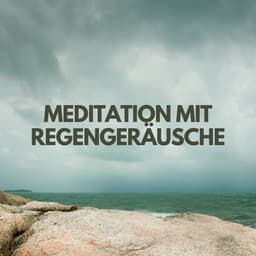 Meditation mit Regengeräusche - Regengeräusche Orchester von TraxLab