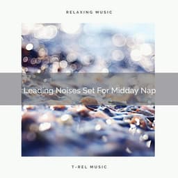 Leading Noises Set For Midday Nap - Brown Noise Therapy / Baby White Noise