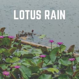 Lotus Rain - Relaxing Rain Sounds