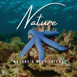 Nature's Best Friend: Melodic Moments - Nature Vibrations