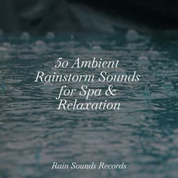 50 Ambient Rainstorm Sounds for Spa & Relaxation - Ocean Sounds