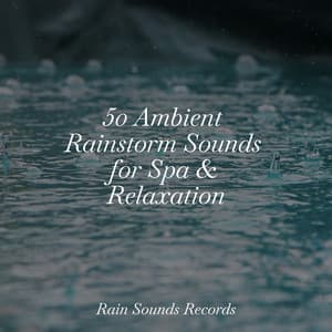 50 Ambient Rainstorm Sounds for Spa & Relaxation - Ocean Sounds