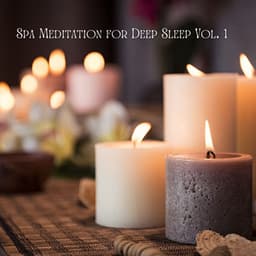 Spa Meditation for Deep Sleep Vol. 1 - The Deep Sleep Music Academy