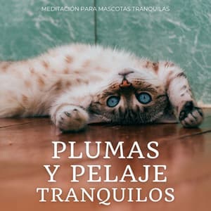 Plumas Y Pelaje Tranquilos: Meditación Para Mascotas Tranquilas - Paisaje sonoro granular