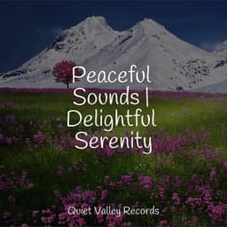Peaceful Sounds | Delightful Serenity - Wellness