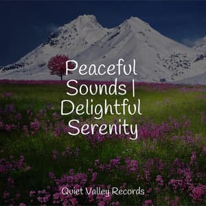 Peaceful Sounds | Delightful Serenity - Wellness
