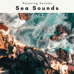 2 0 2 2 Sea Sounds - Waves Hard