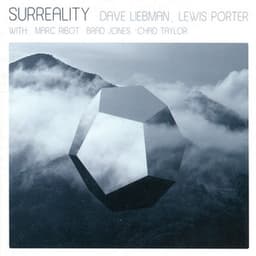 Surreality - Dave Liebman