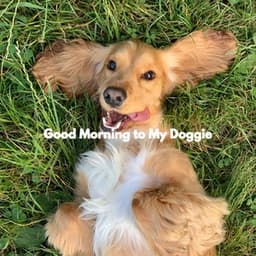 Good Morning to My Doggie - Alegre Música para Cocinar