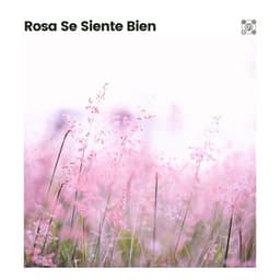 Rosa Se Siente Bien - Meditación Con Ruido Rosado