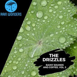 The Drizzles - Rainy Sounds and Coffee, Vol. 3 - Rain Sounds