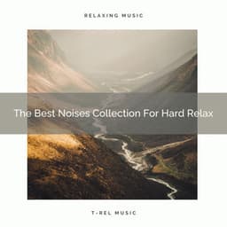 The Best Noises Collection For Hard Relax - Chill Relajente