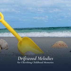 Driftwood Melodies for Cherishing Childhood Memories - ASMR Ocean Sounds