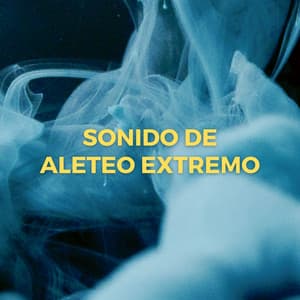 Sonido De Aleteo Extremo - Reiki y Tai Chi Armonía