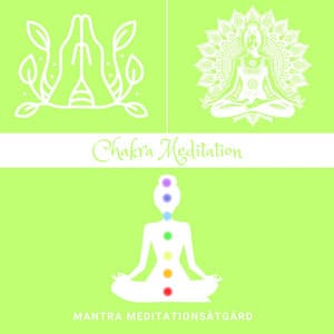 Chakra Meditation: Balansering av Energicentrum - Mantra Meditationsåtgärd