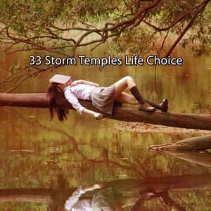 33 Storm Temples Life Choice - The Rain Library