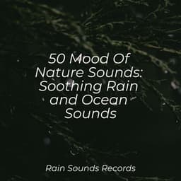 50 Mood Of Nature Sounds: Soothing Rain and Ocean Sounds - Lightning, Thunder and Rain Storm