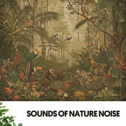 Sounds of Nature Noise: Jungle Serenade - Dog Relaxation