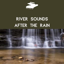River Sounds After the Rain - River Sounds Lab