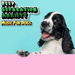 Anti Anxiety Music For Dogs - Deep Separation Anxiety Music For Dogs