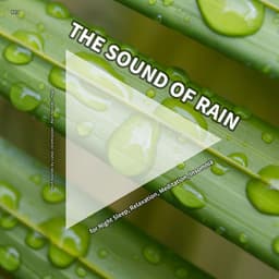 #01 The Sound of Rain for Night Sleep, Relaxation, Meditation, Insomnia - Rain Sounds by Lukas Jeremiassen