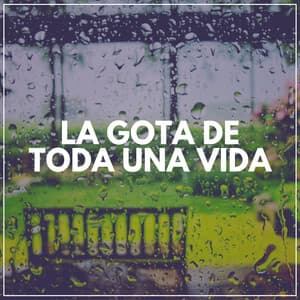 La Gota de Toda una Vida - Sonidos De Lluvia