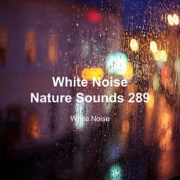 White Noise 289 - White Noise