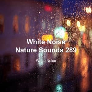 White Noise 289 - White Noise