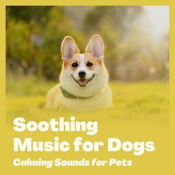 Soothing Music for Dogs - Calming Sounds for Pets - Music for Pets Specialists